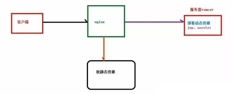 Nginx 动静分离后
